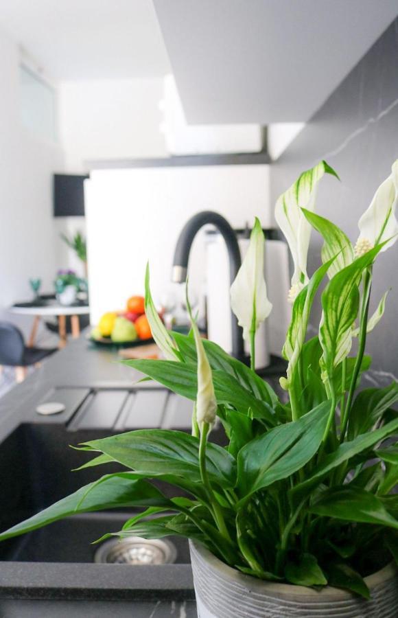 Cosmo Apartment 杜布罗夫尼克 外观 照片